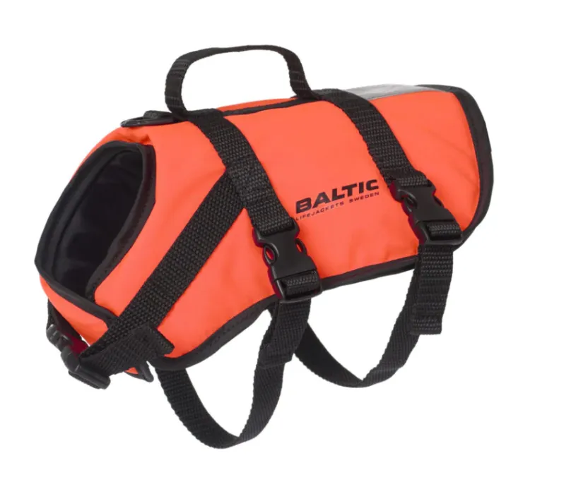 Dog Buoyancy Aid Hire