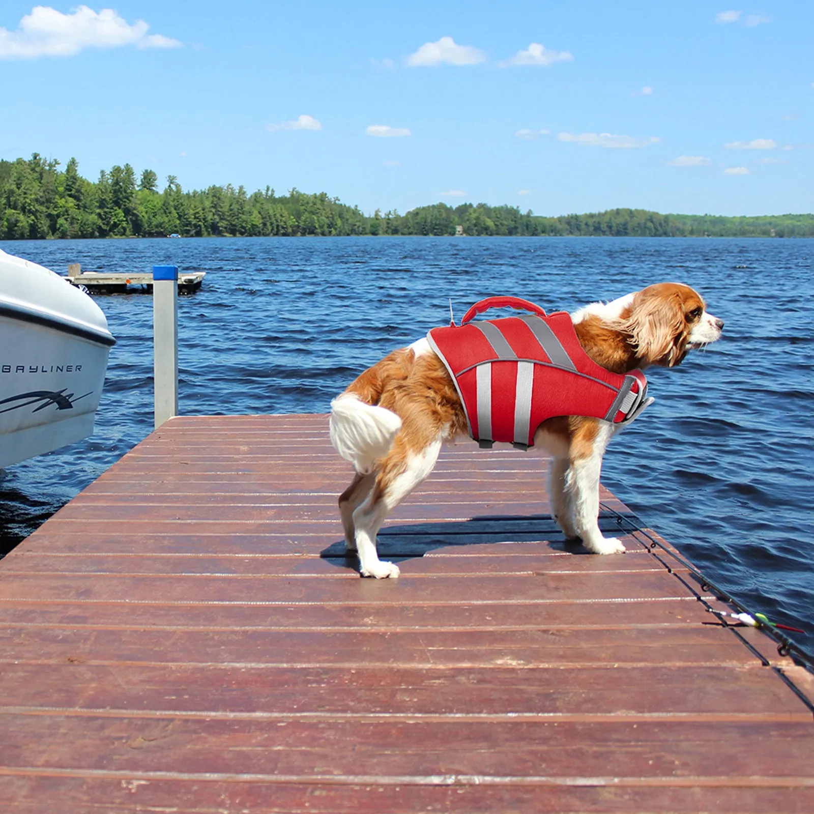 Dog Life Jacket with Reflective Strips