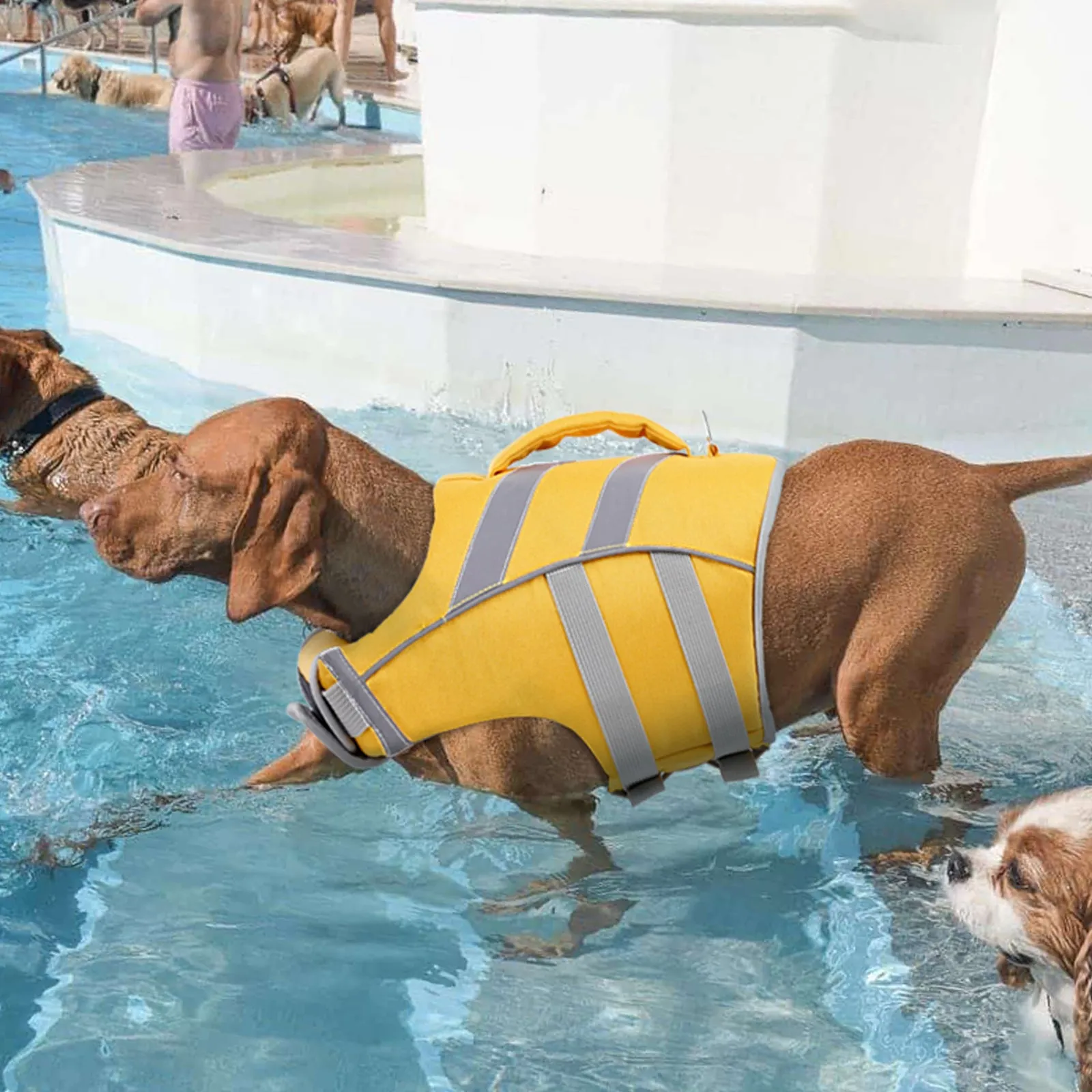 Dog Life Jacket with Reflective Strips