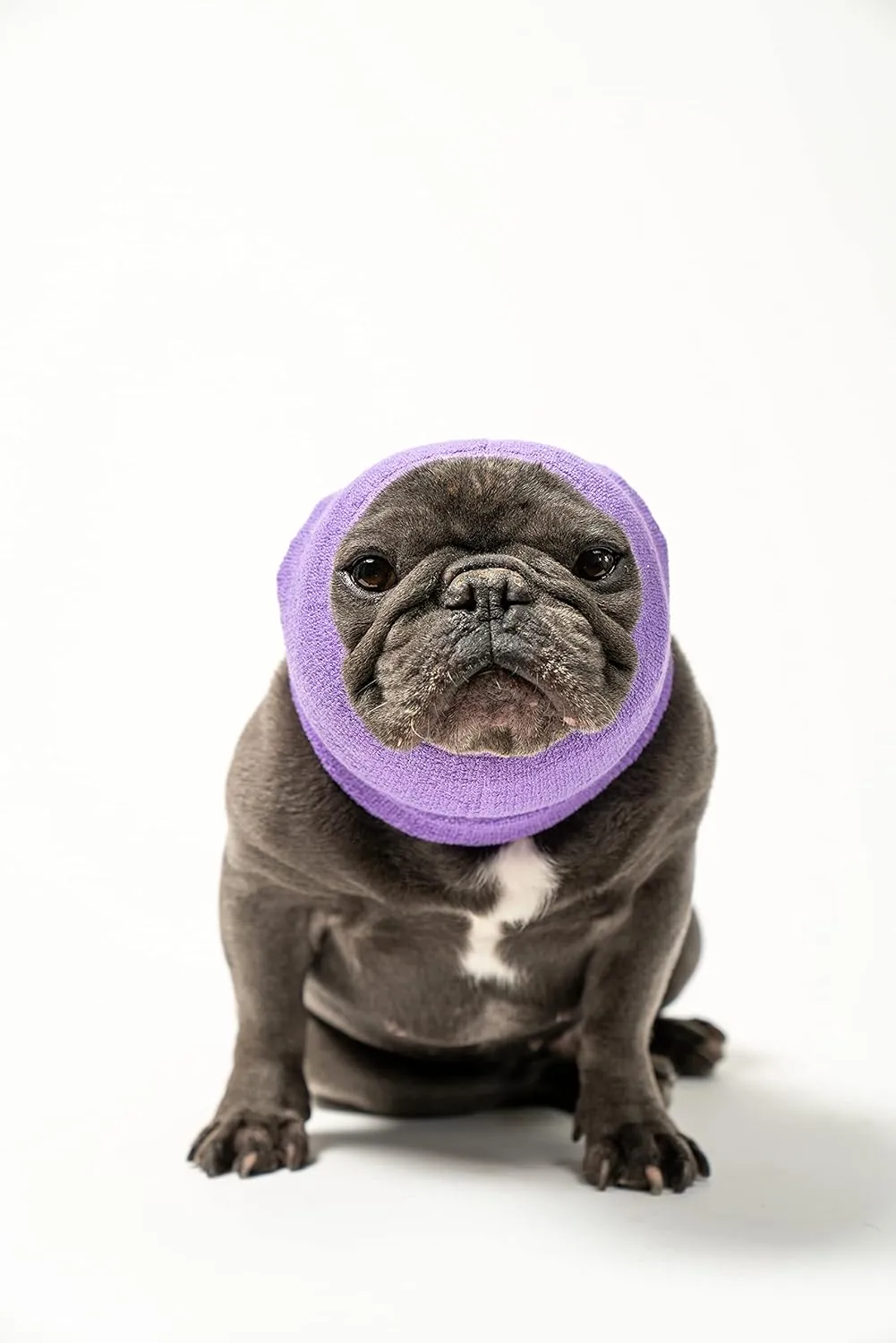 Pet Hoodz for Dogs-Anxiety, Grooming, Ear Muffs, Dog Ear Protection, Calming Hood, Ear Compression, Pet Hoodie, Dog Hoodie, Dog Ear Wrap