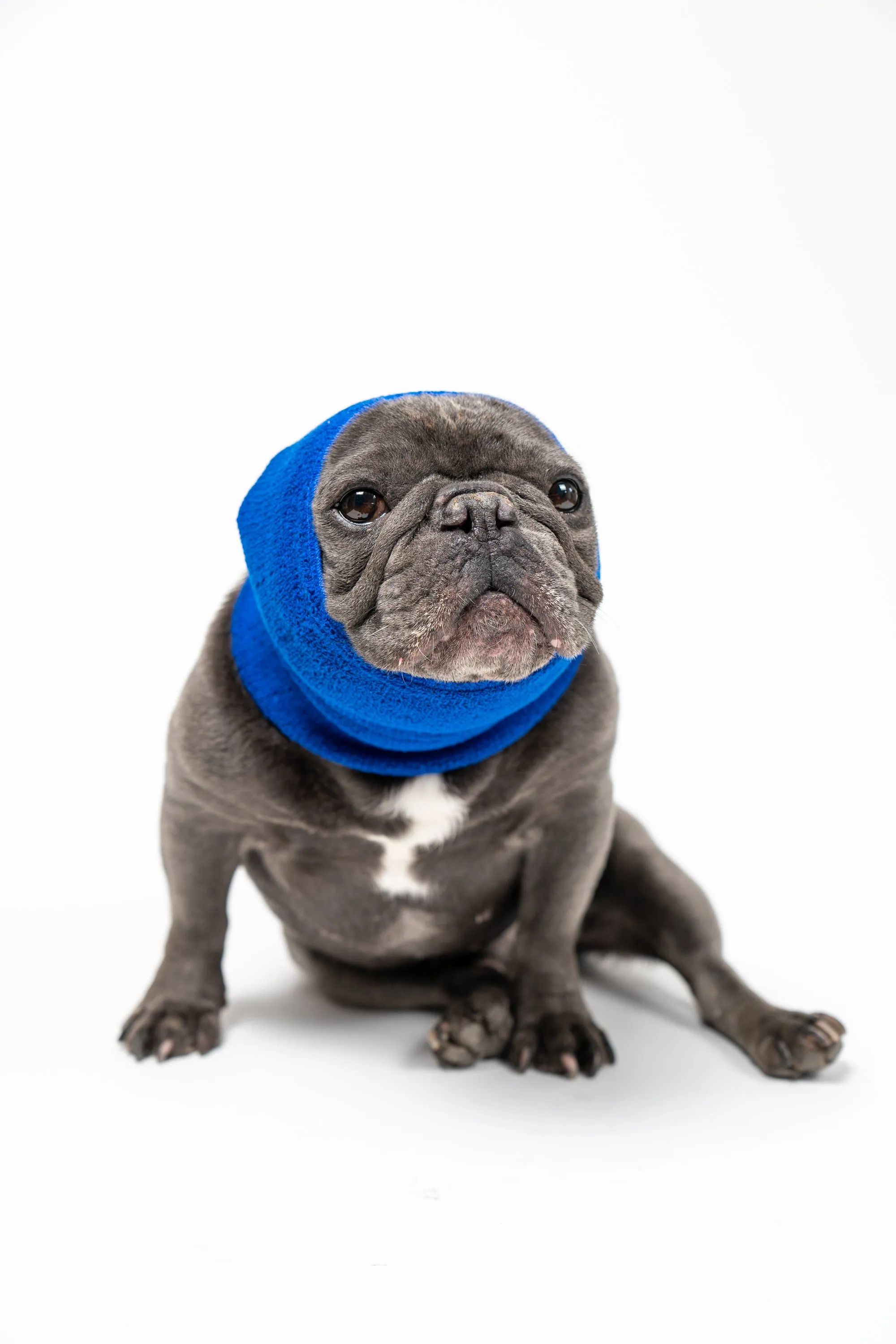 Pet Hoodz for Dogs-Anxiety, Grooming, Ear Muffs, Dog Ear Protection, Calming Hood, Ear Compression, Pet Hoodie, Dog Hoodie, Dog Ear Wrap