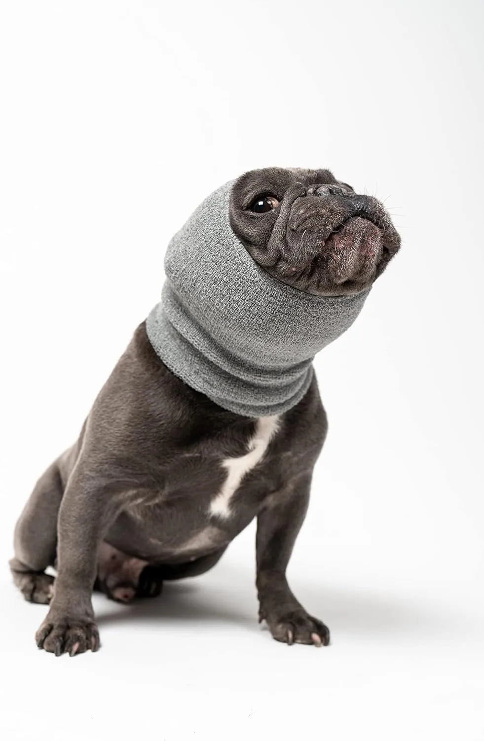Pet Hoodz for Dogs-Anxiety, Grooming, Ear Muffs, Dog Ear Protection, Calming Hood, Ear Compression, Pet Hoodie, Dog Hoodie, Dog Ear Wrap