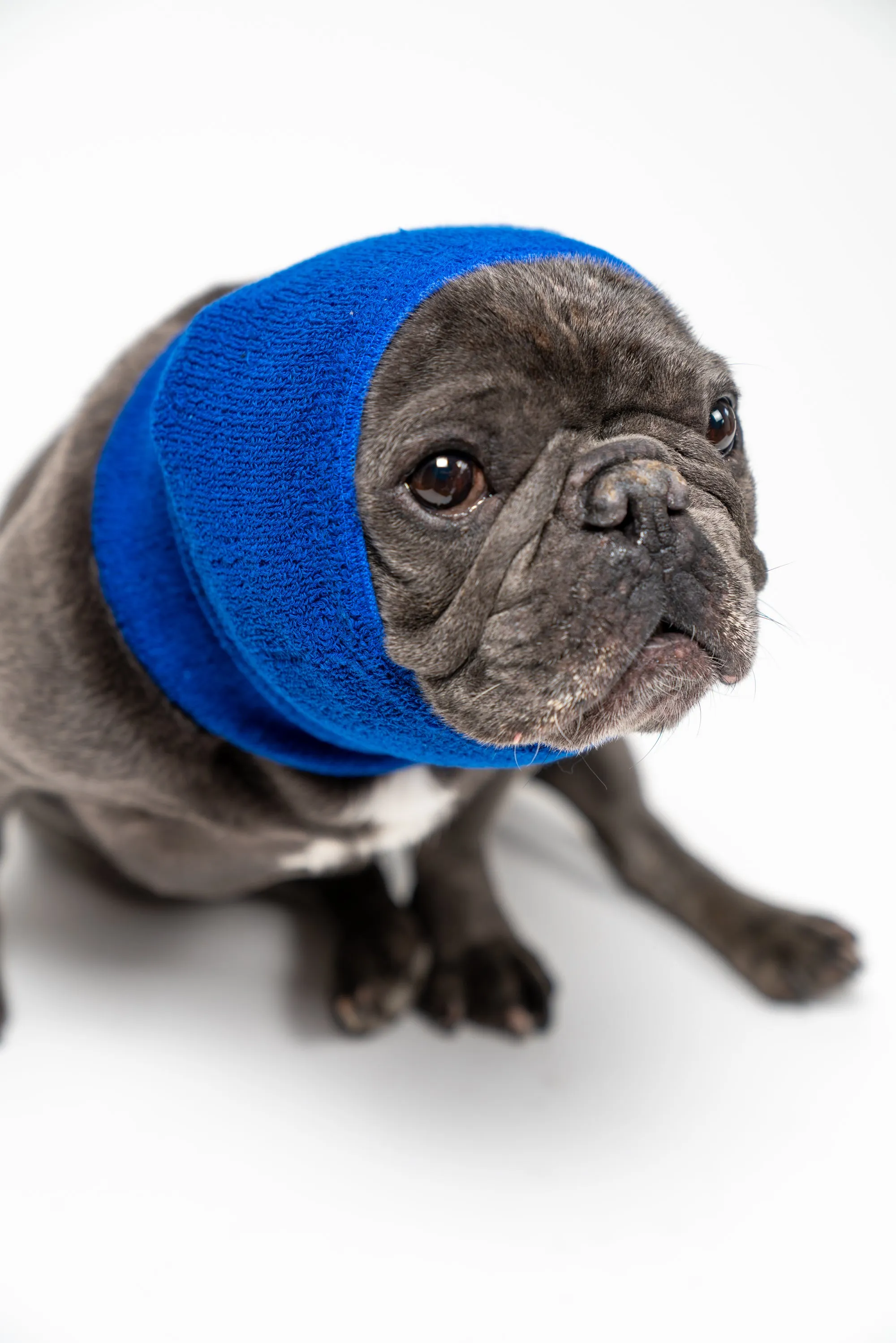 Pet Hoodz for Dogs-Anxiety, Grooming, Ear Muffs, Dog Ear Protection, Calming Hood, Ear Compression, Pet Hoodie, Dog Hoodie, Dog Ear Wrap