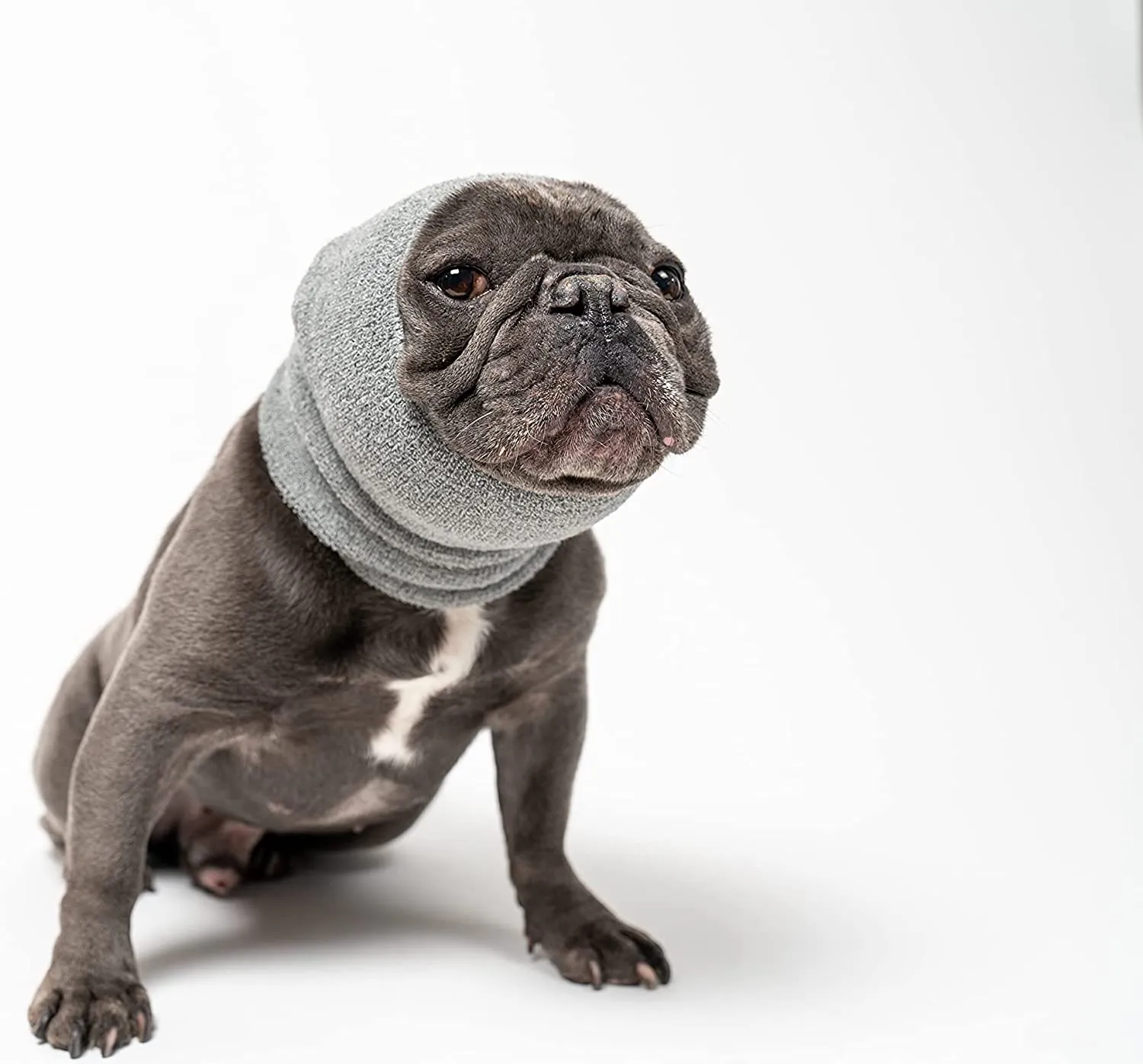 Pet Hoodz for Dogs-Anxiety, Grooming, Ear Muffs, Dog Ear Protection, Calming Hood, Ear Compression, Pet Hoodie, Dog Hoodie, Dog Ear Wrap
