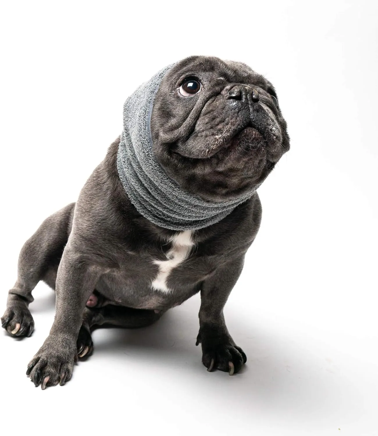 Pet Hoodz for Dogs-Anxiety, Grooming, Ear Muffs, Dog Ear Protection, Calming Hood, Ear Compression, Pet Hoodie, Dog Hoodie, Dog Ear Wrap