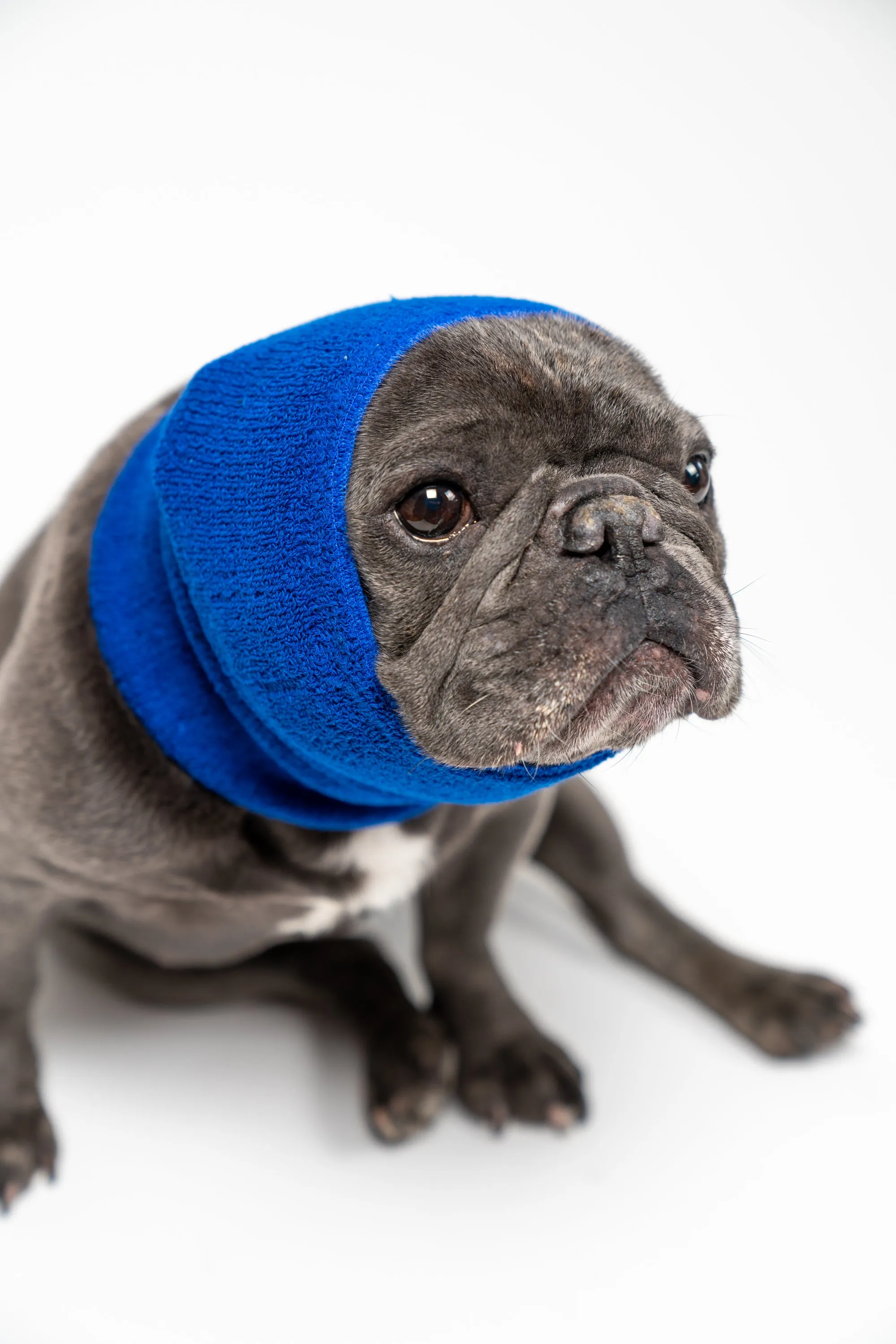 Pet Hoodz for Dogs-Anxiety, Grooming, Ear Muffs, Dog Ear Protection, Calming Hood, Ear Compression, Pet Hoodie, Dog Hoodie, Dog Ear Wrap