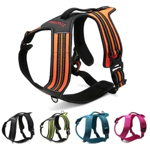 True Love Heavy Duty Sports Dog Harness - Orange, XL