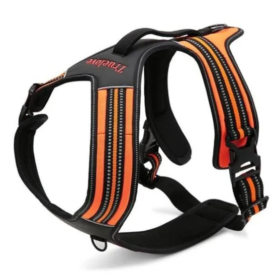True Love Heavy Duty Sports Dog Harness - Orange, XL