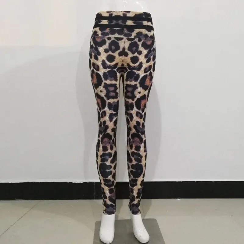 yoga leggings leo