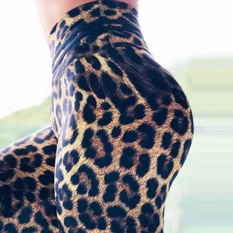yoga leggings leo