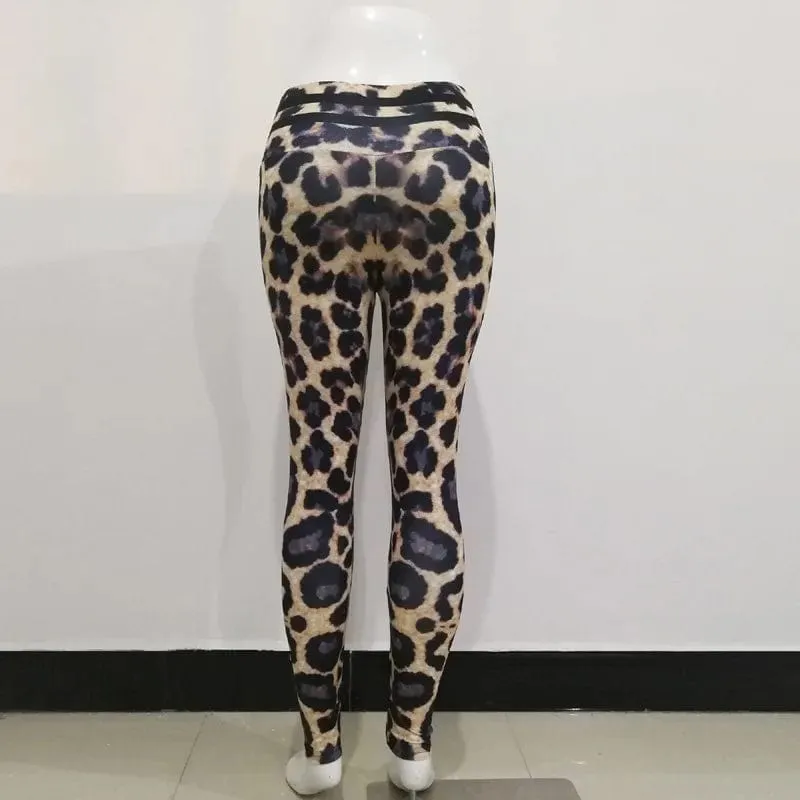 yoga leggings leo